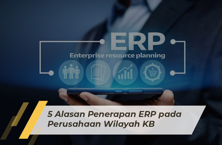 5 Reasons for Implementing ERP in Bonded Area Companies
